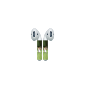 Jack Russell Terrier AirPod Colors
