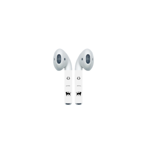 Astrology Leo AirPod Sleeves