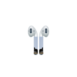 Beatiful Black Stallion AirPod Colors