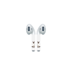 Siamese Cat AirPod Colors
