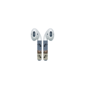 Wild Mustang AirPod Colors